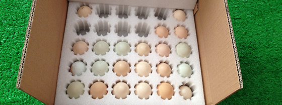 江門(mén)包裝材料